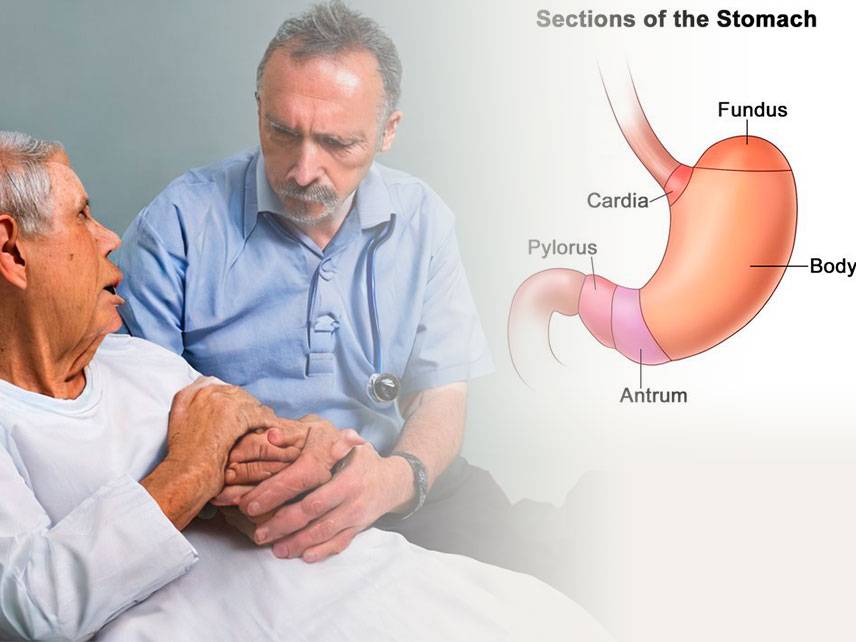 Top 10 disorders of the Gastric system